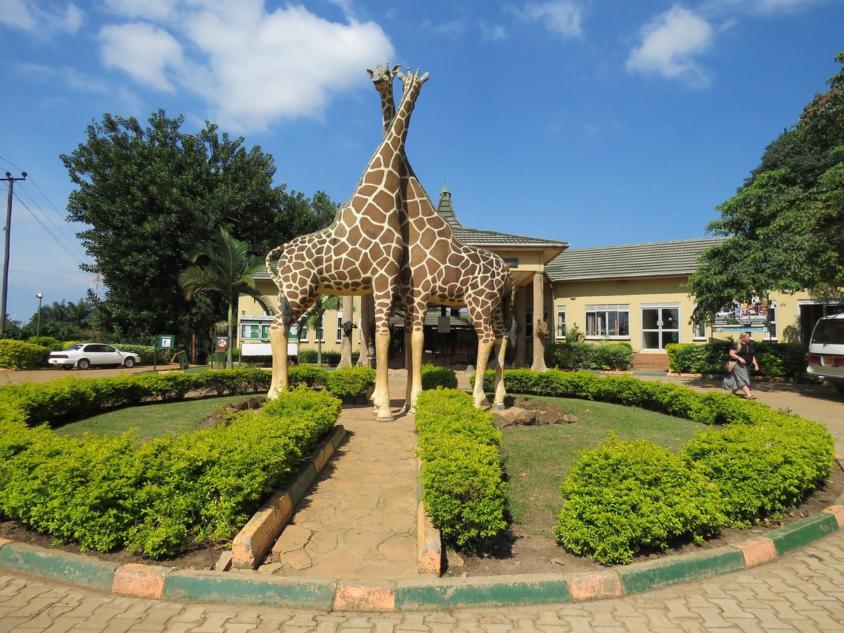 entebbe zoo by airpals